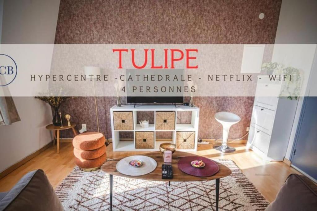Tulipe Hypercentre Fantastique Leilighet Reims Eksteriør bilde